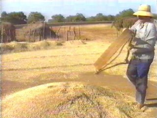CAMPO (143) MAQUINARIA TRACTOR